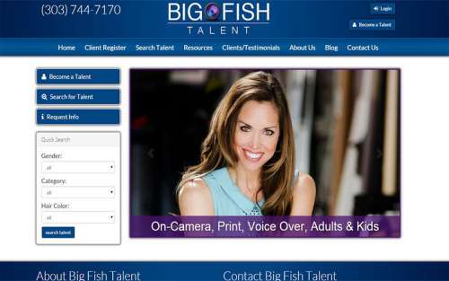 Big Fish Talent